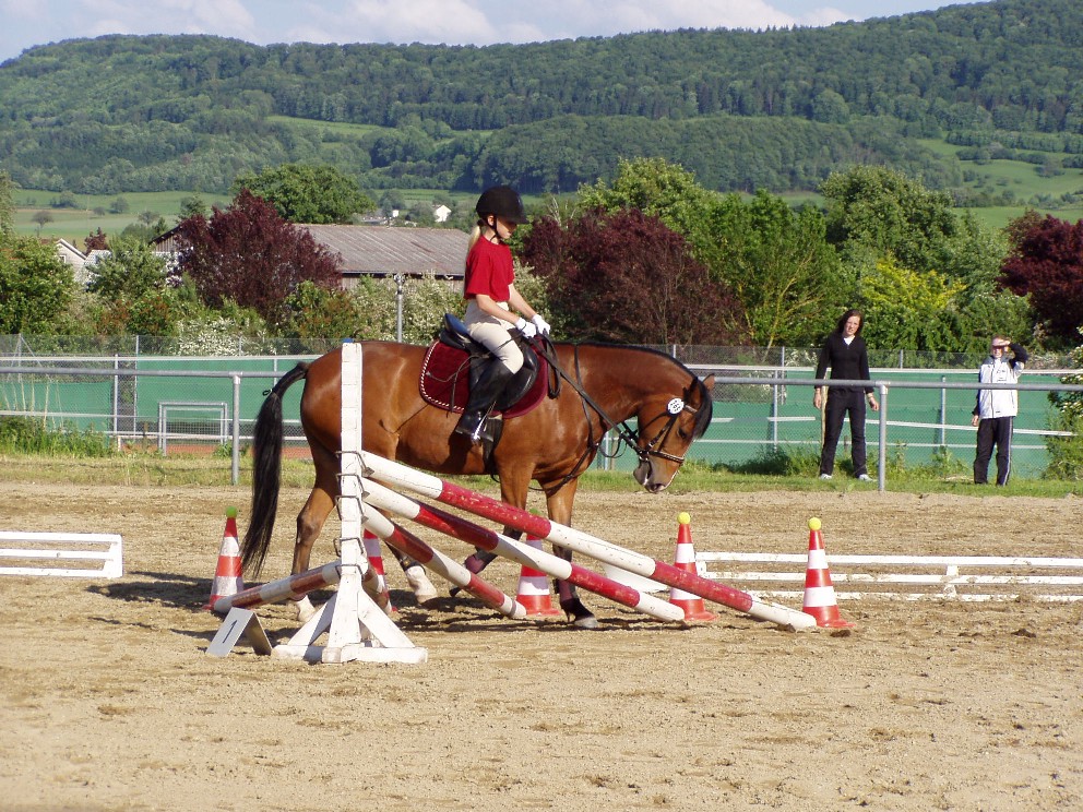 Breitensport