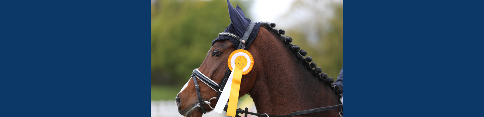Ponysport